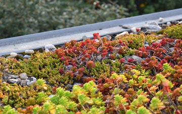 the cost of Clatter green roof installation